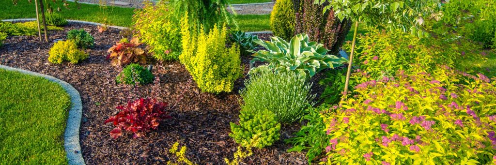 Landscaping Services in Portland, OR